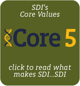 SDI Core Values